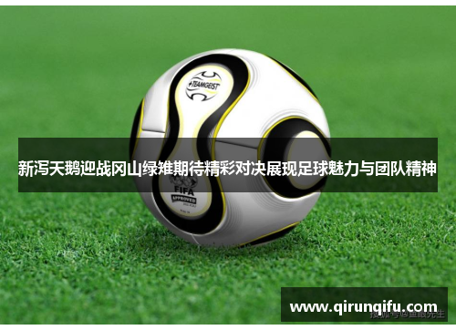 新泻天鹅迎战冈山绿雉期待精彩对决展现足球魅力与团队精神